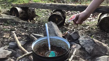 Houbová pohádka aneb kterak houby k fobiím přišly