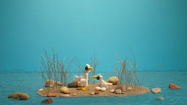 Bird Islet