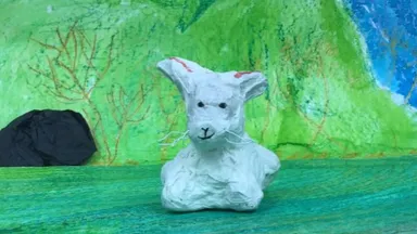 White hare