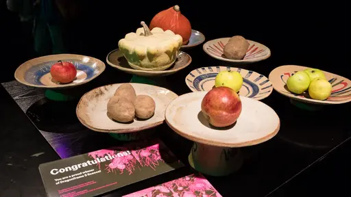 Gratulujeme oceněným!