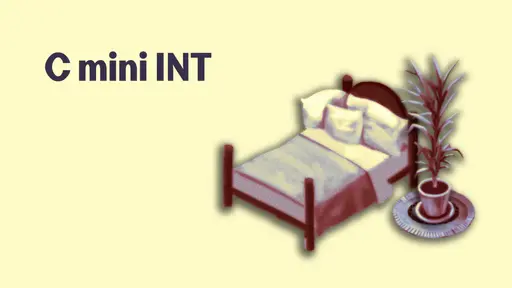 C MINI INT