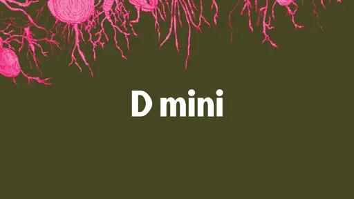 Soutěž: MINI D international