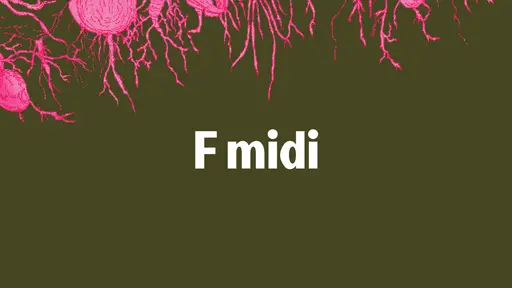 Soutěž: MIDI F cz/sk