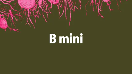 Soutěž: MINI B cz/sk