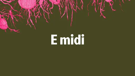 Soutěž: MIDI E cz/sk