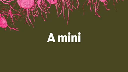 Soutěž: MINI A czsk